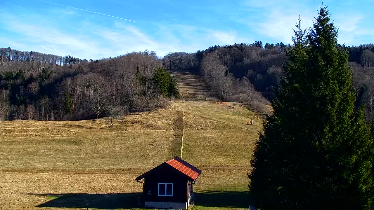 Webcam Lokve – Die Schönheit des Trnovo-Waldes