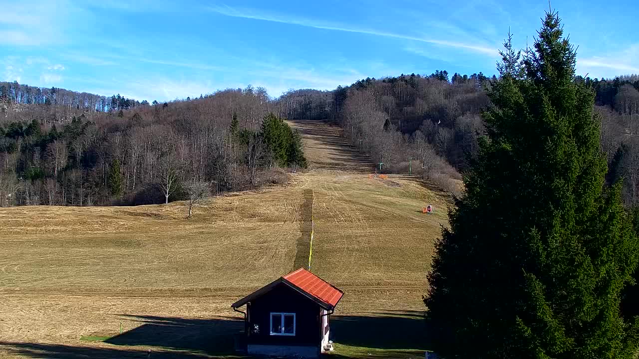 Webcam Lokve – The beauty of the Trnovo forest