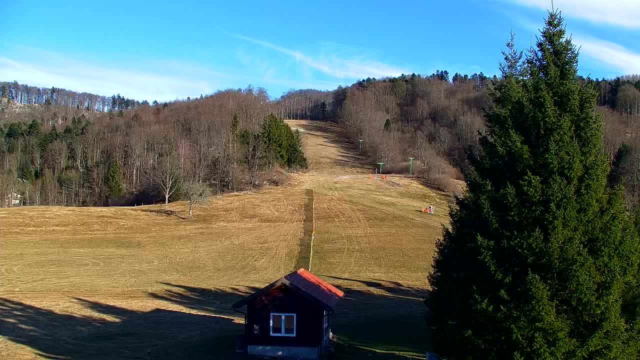 Webcam Lokve – La beauté de la forêt de Trnovo