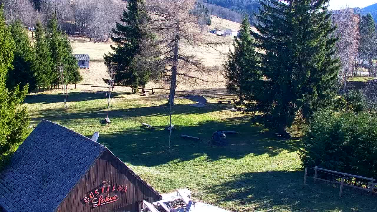 Webcam Lokve – La beauté de la forêt de Trnovo