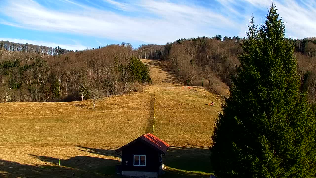 Webcam Lokve – The beauty of the Trnovo forest