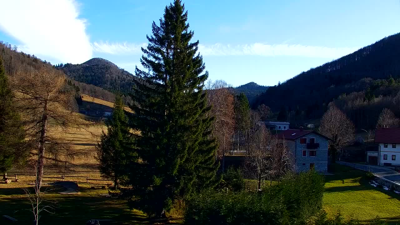 Webcam Lokve – The beauty of the Trnovo forest