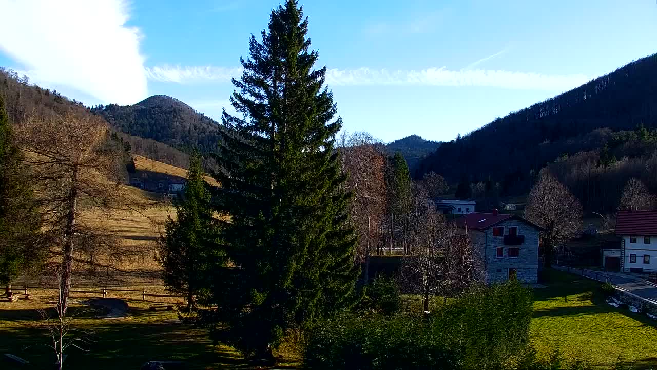 Webcam Loqua / Lokve – La bellezza della selva di Tarnova