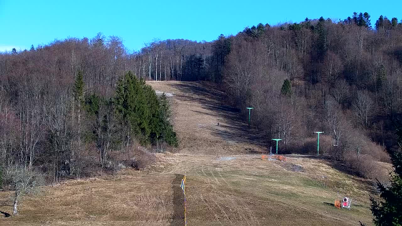 Webcam Loqua / Lokve – La bellezza della selva di Tarnova