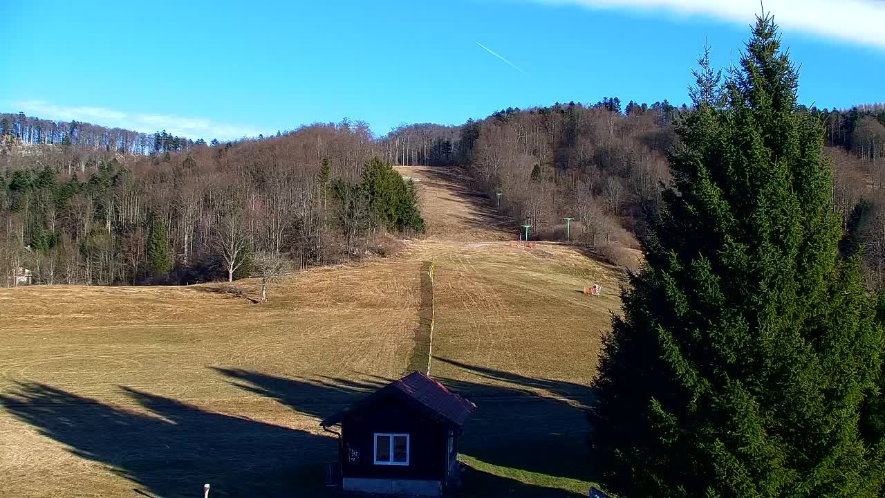 Webcam Lokve – Die Schönheit des Trnovo-Waldes