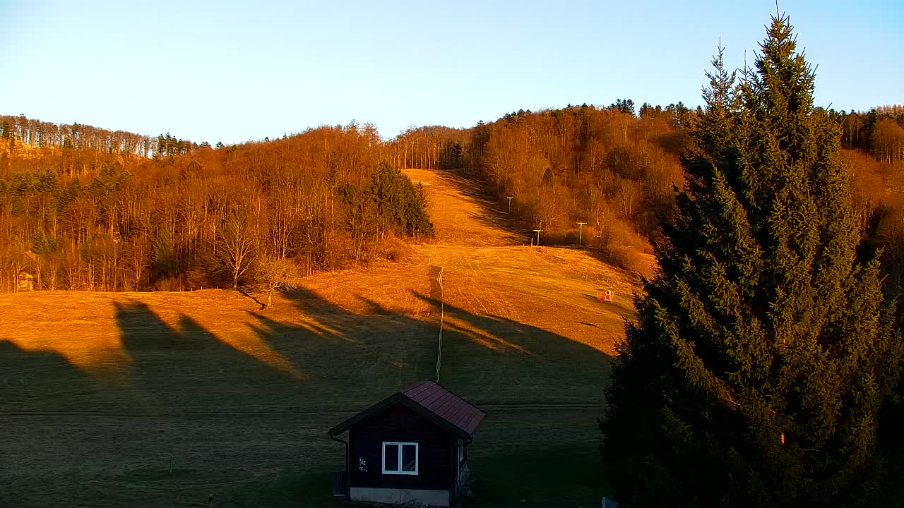 Webcam Loqua / Lokve – La bellezza della selva di Tarnova