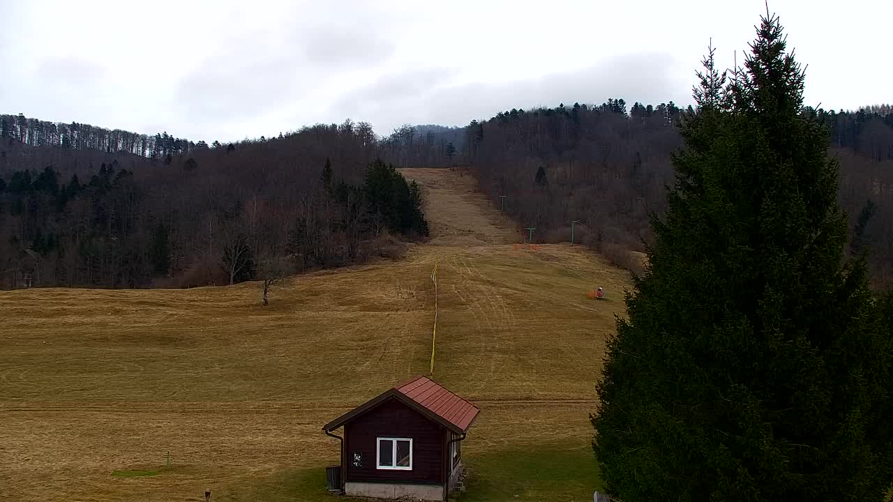 Web kamera Lokve – Ljepota Trnovske šume