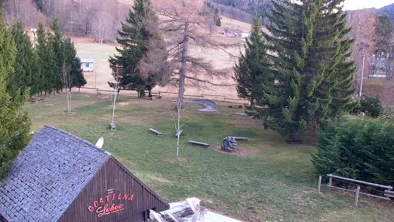 Webcam Lokve – The beauty of the Trnovo forest