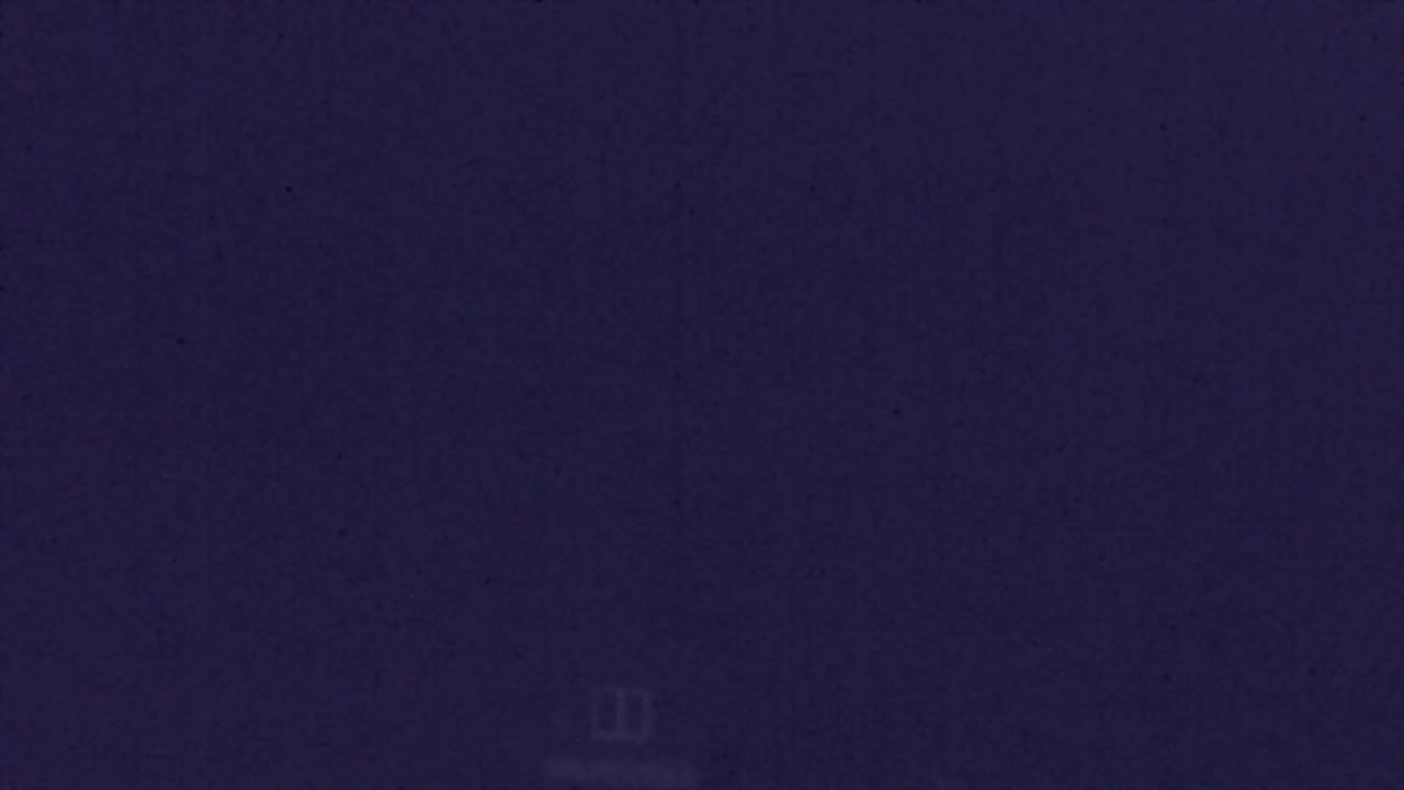 Webcam Loqua / Lokve – La bellezza della selva di Tarnova