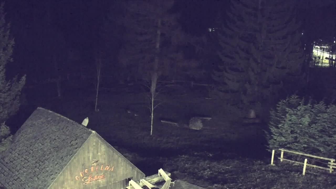 Webcam Lokve – Die Schönheit des Trnovo-Waldes