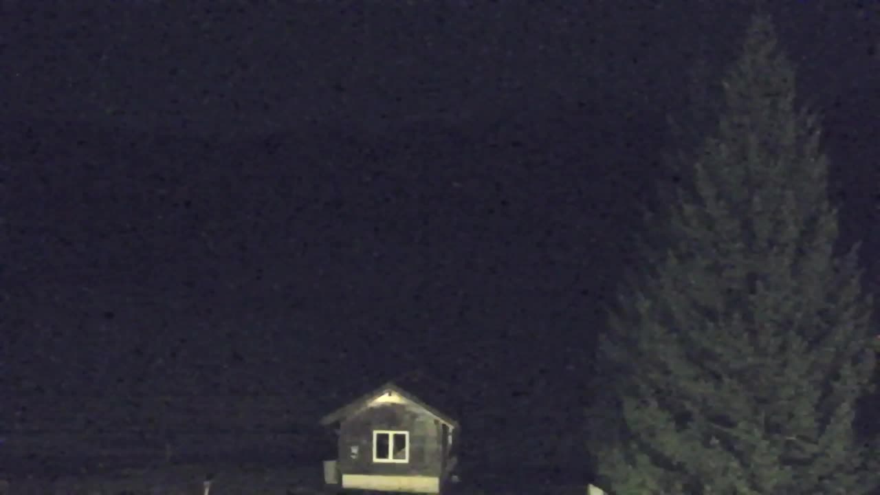 Webcam Lokve – The beauty of the Trnovo forest