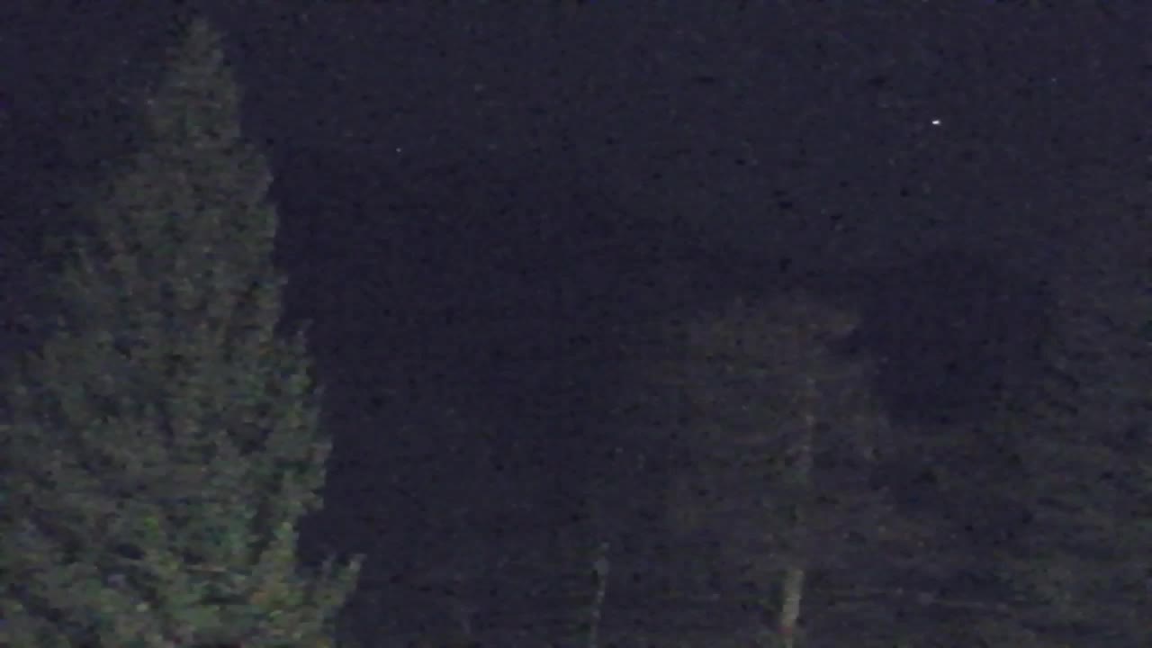 Webcam Lokve – The beauty of the Trnovo forest