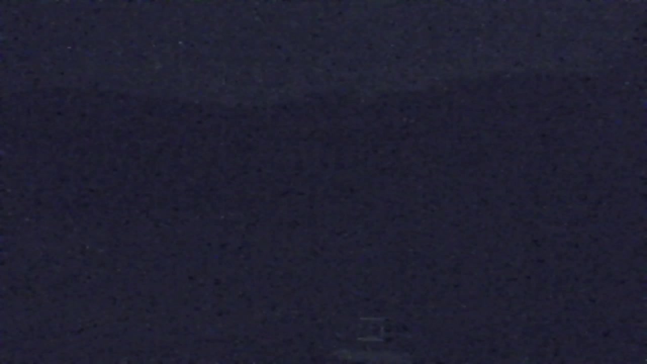 Webcam Lokve – The beauty of the Trnovo forest