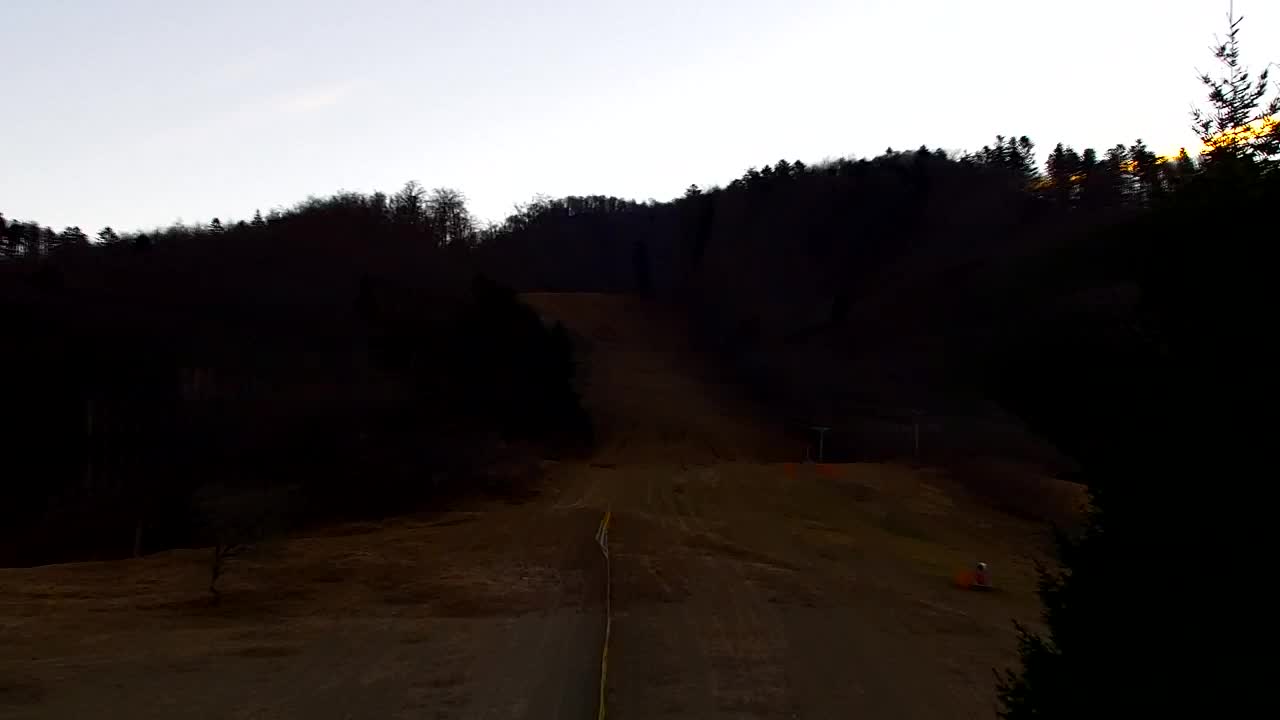 Webcam Lokve – The beauty of the Trnovo forest