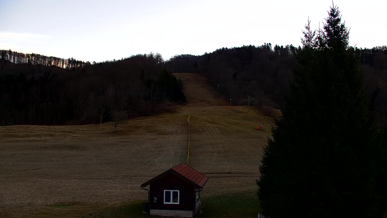 Webcam Lokve – La beauté de la forêt de Trnovo