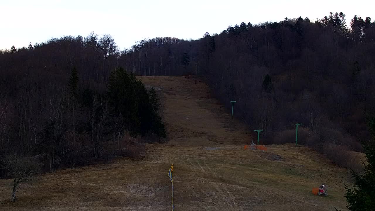 Webcam Lokve – The beauty of the Trnovo forest