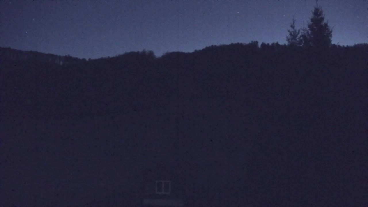 Webcam Loqua / Lokve – La bellezza della selva di Tarnova