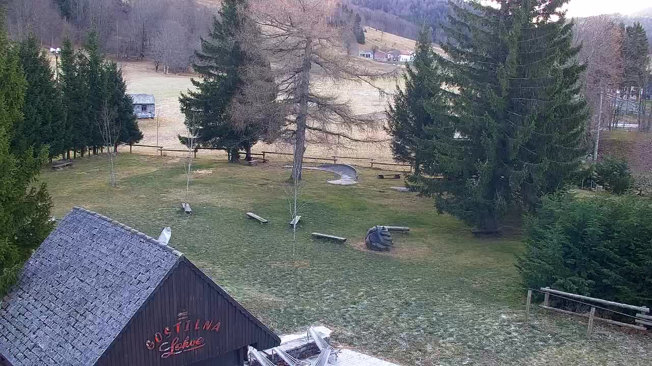 Webcam Loqua / Lokve – La bellezza della selva di Tarnova