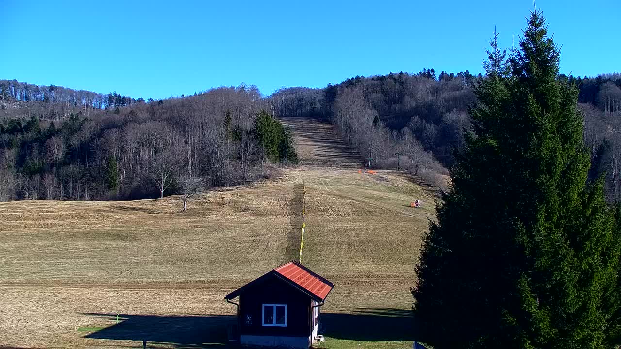 Lokve kamera – Naravne lepote Trnovskega gozda