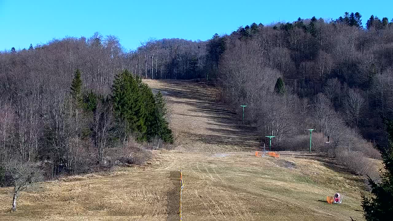 Webcam Loqua / Lokve – La bellezza della selva di Tarnova