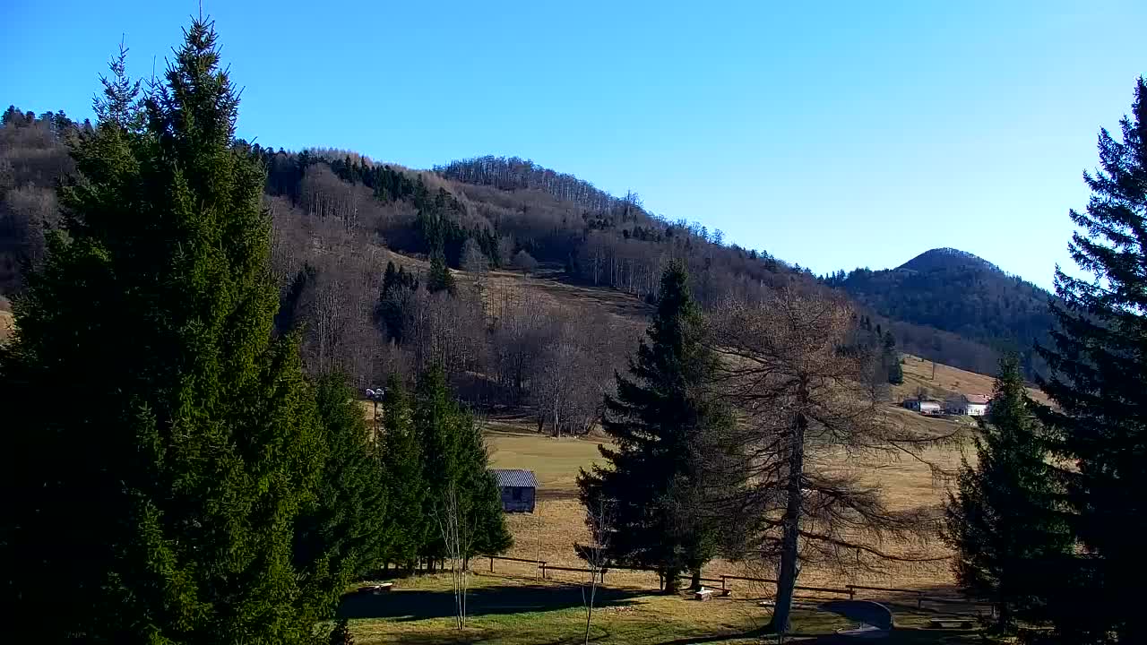 Camera en vivo Lokve – La belleza del bosque de Trnovo