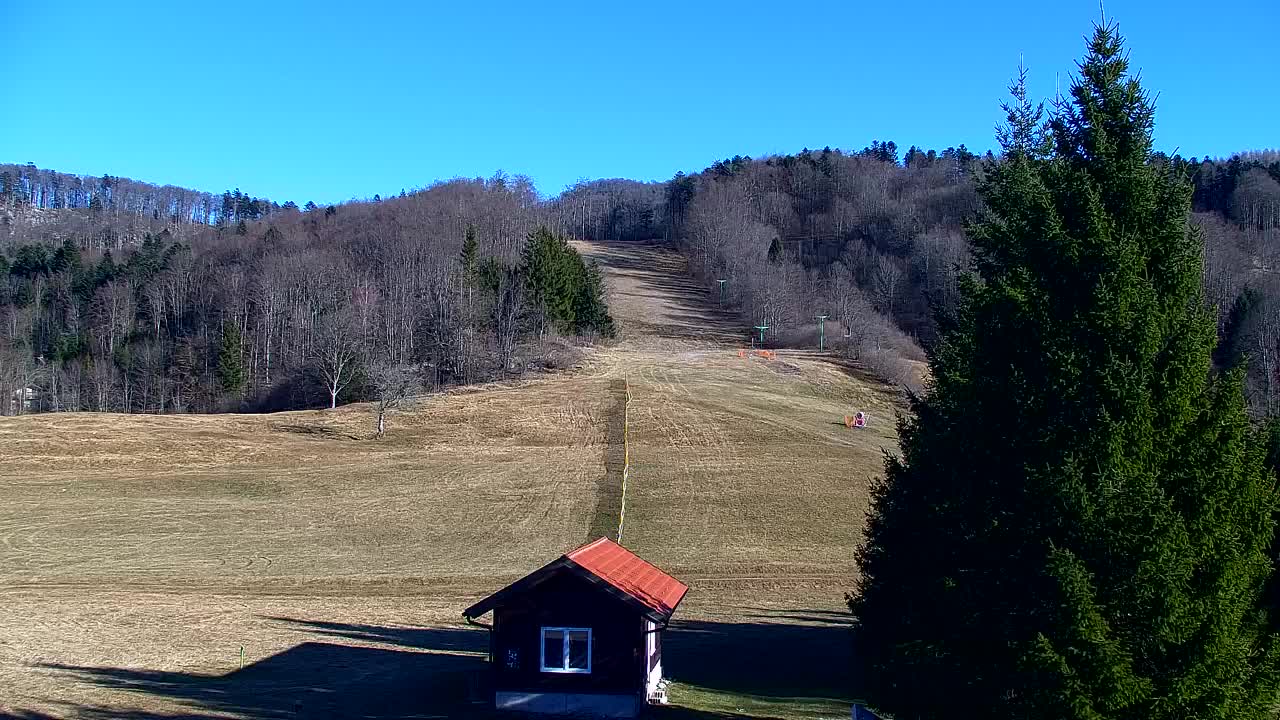 Webcam Lokve – The beauty of the Trnovo forest