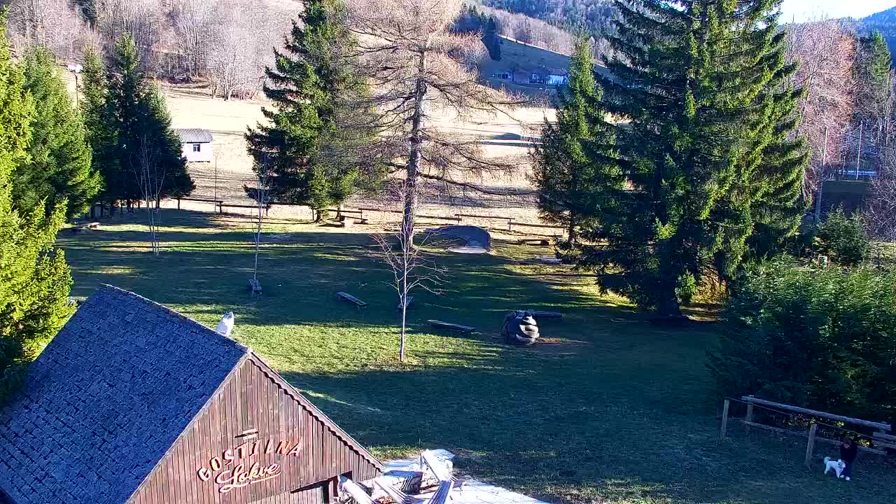 Lokve kamera – Naravne lepote Trnovskega gozda