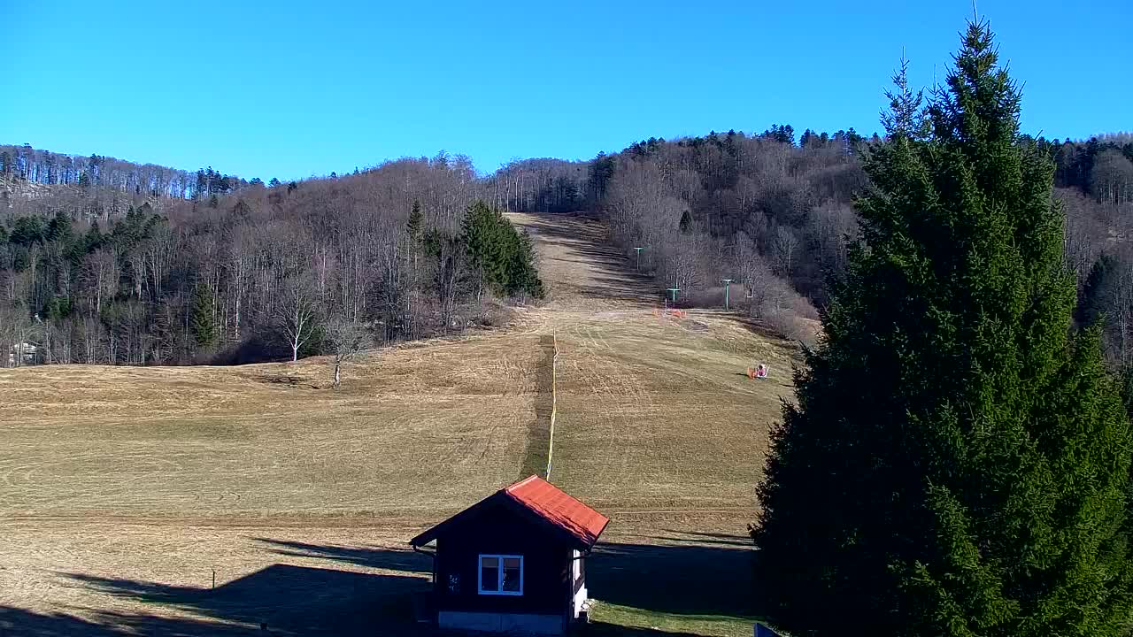 Lokve kamera – Naravne lepote Trnovskega gozda