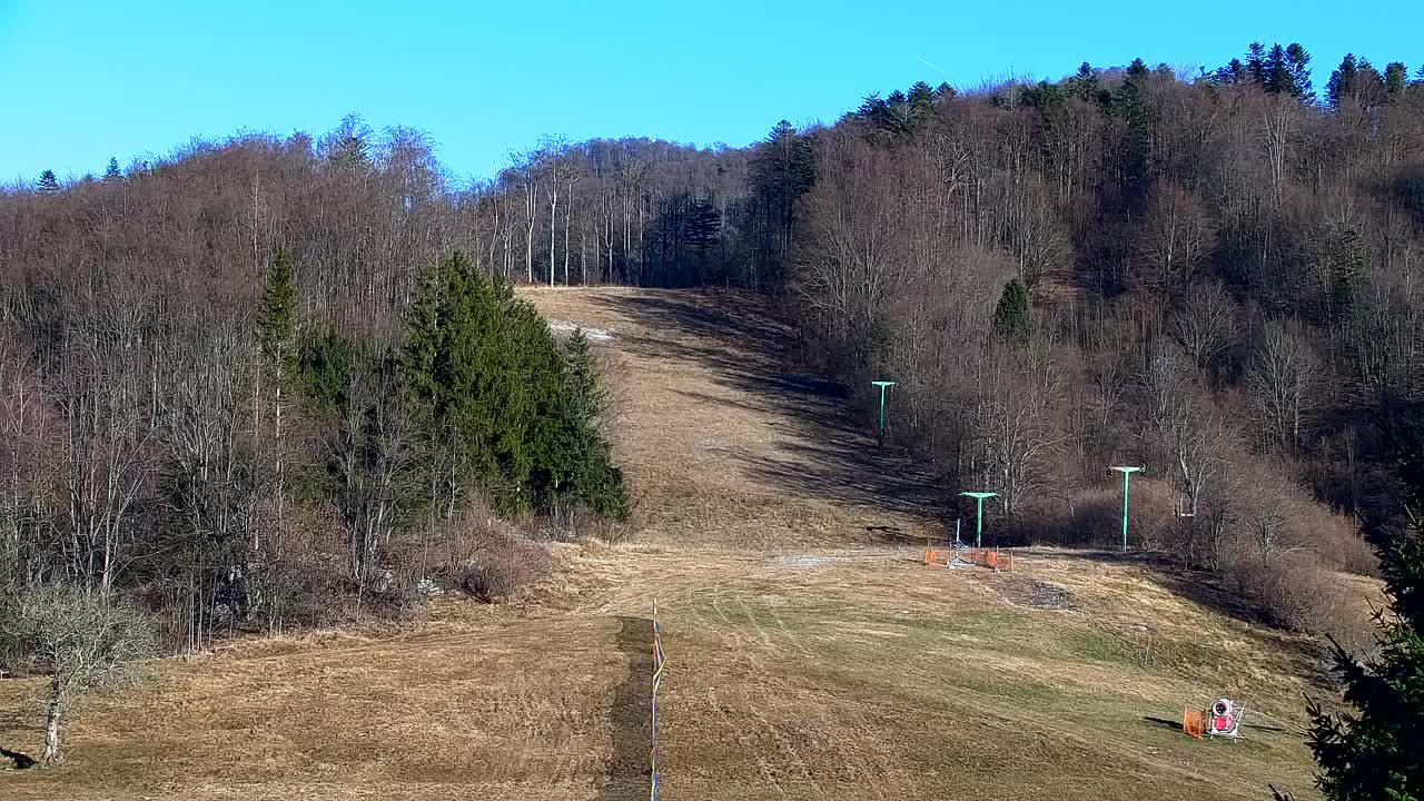 Webcam Lokve – The beauty of the Trnovo forest