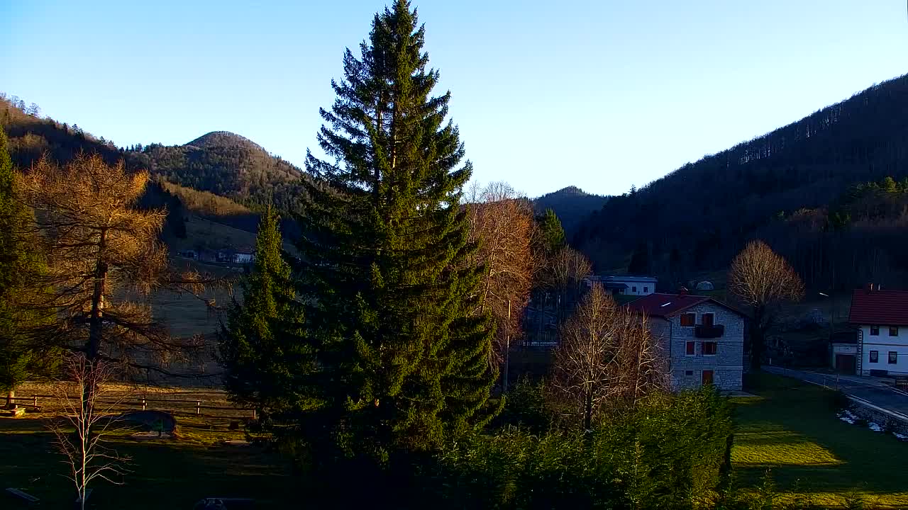 Webcam Lokve – La beauté de la forêt de Trnovo