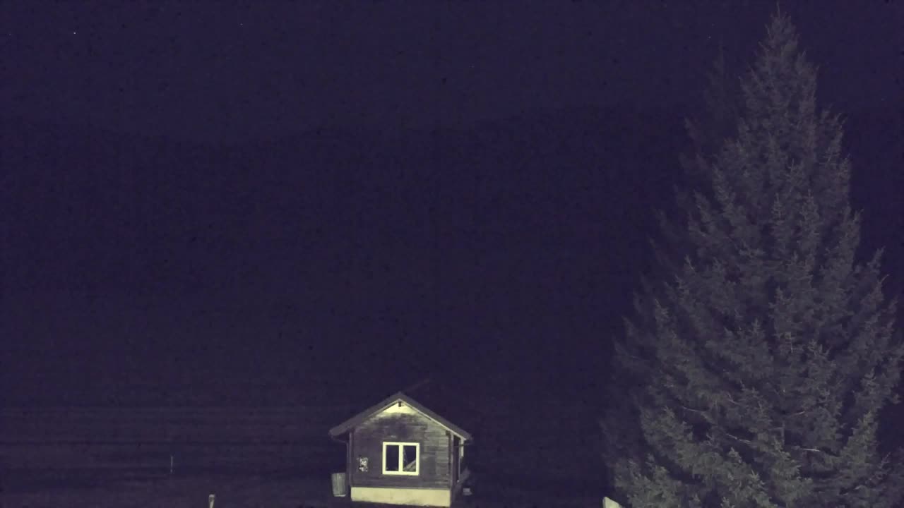 Webcam Loqua / Lokve – La bellezza della selva di Tarnova