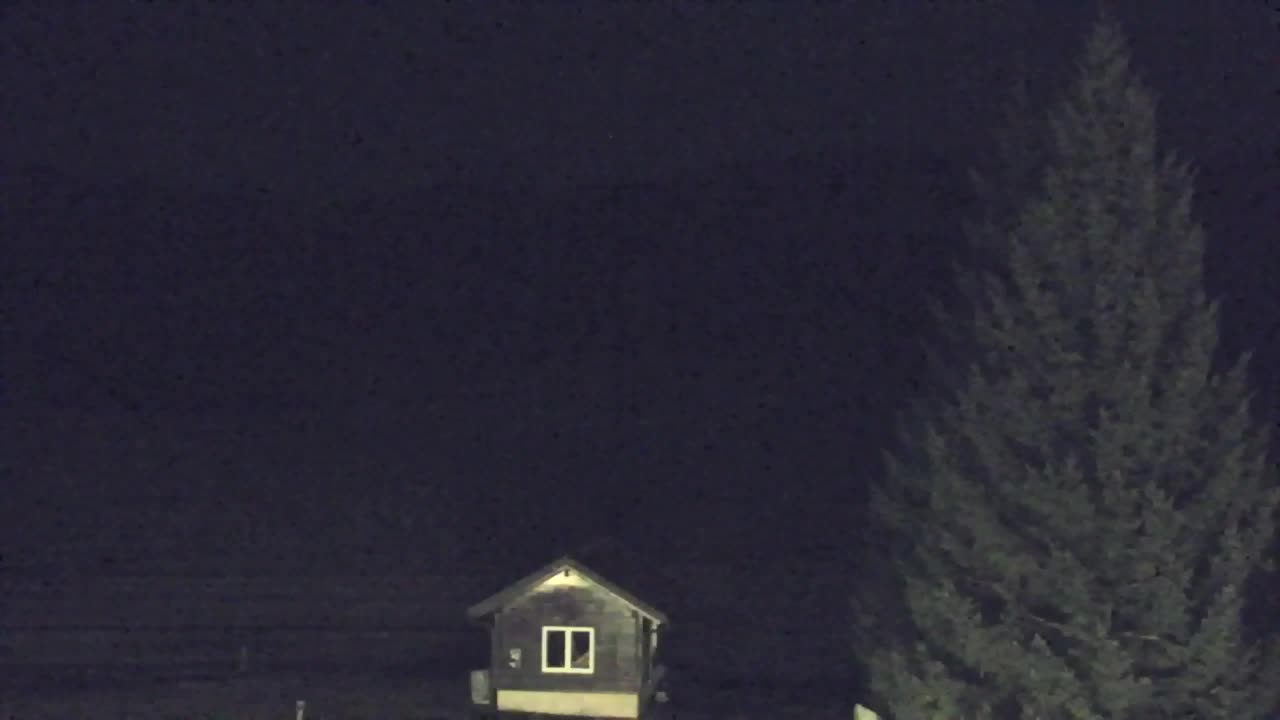 Webcam Loqua / Lokve – La bellezza della selva di Tarnova