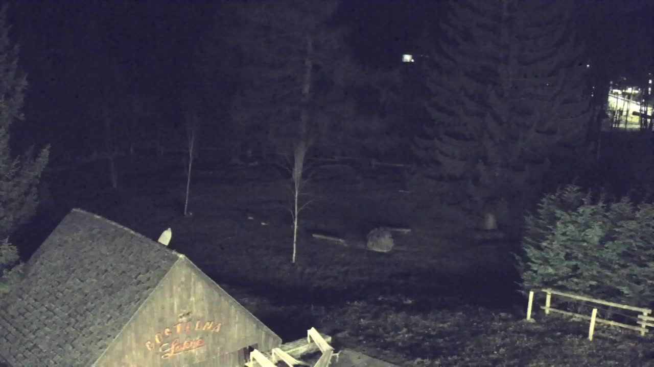 Webcam Lokve – The beauty of the Trnovo forest