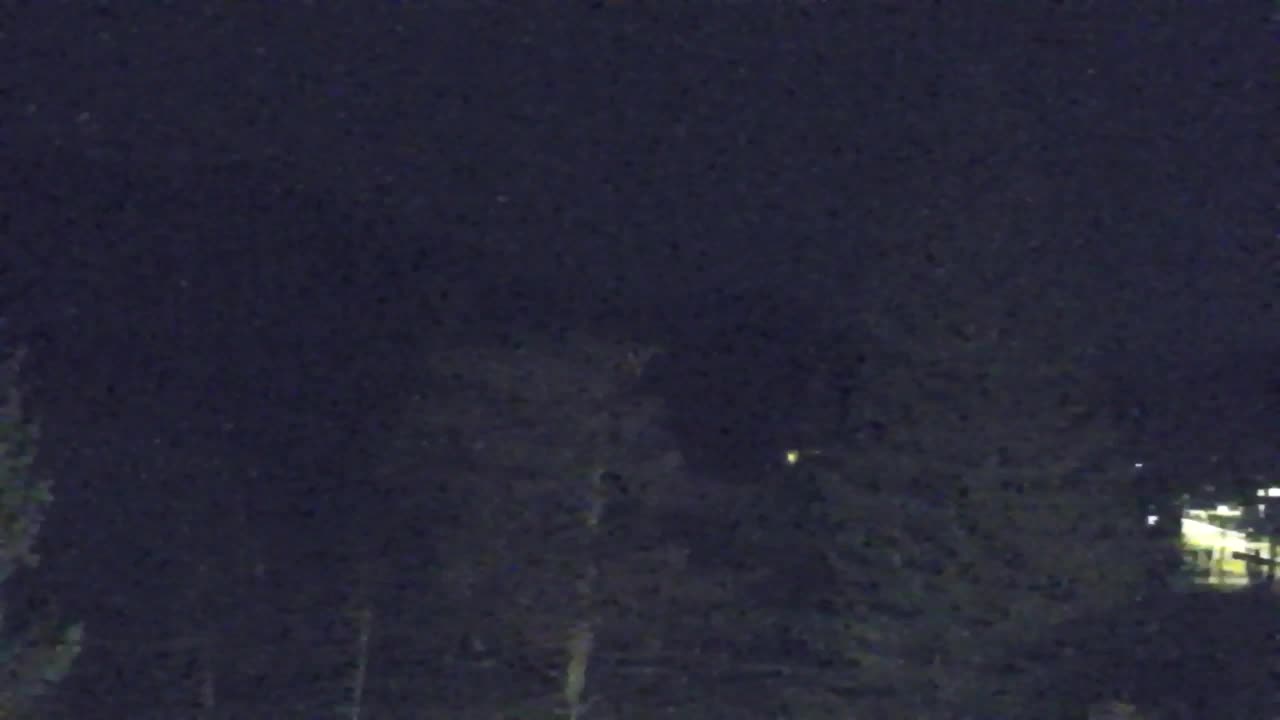 Webcam Lokve – The beauty of the Trnovo forest