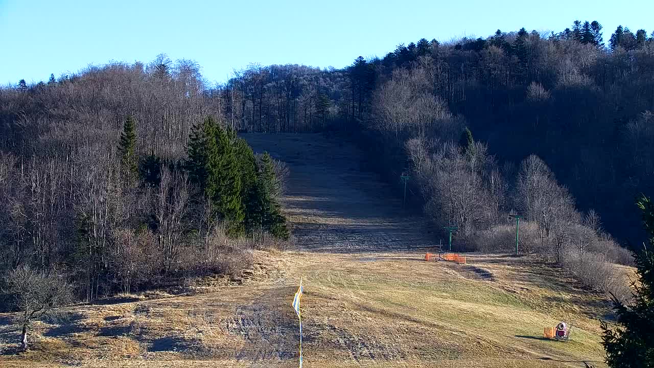 Webcam Loqua / Lokve – La bellezza della selva di Tarnova