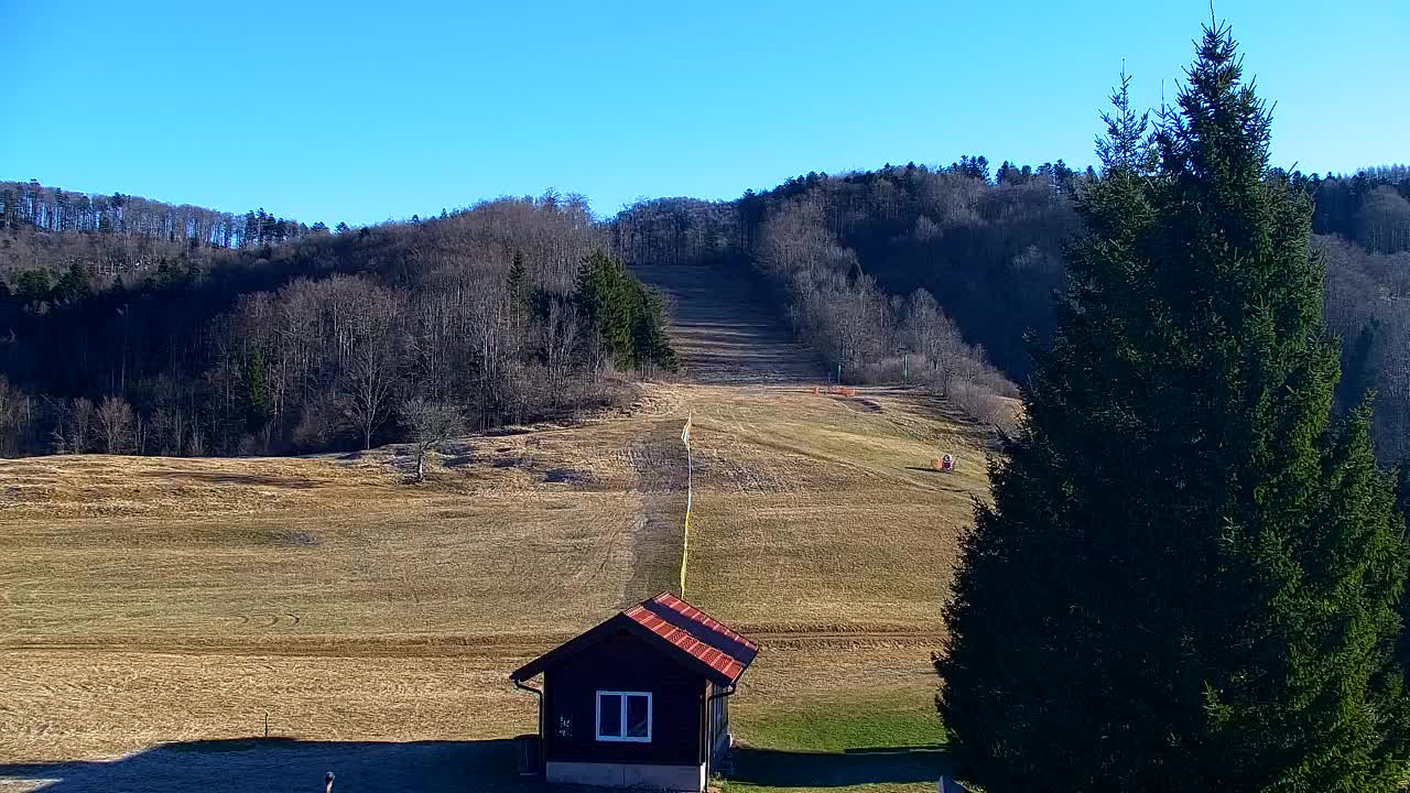 Webcam Lokve – The beauty of the Trnovo forest