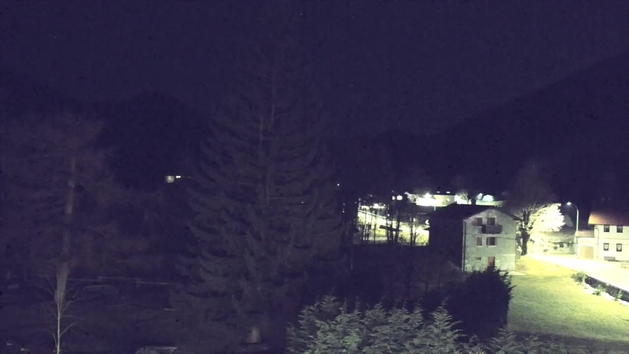 Webcam Loqua / Lokve – La bellezza della selva di Tarnova