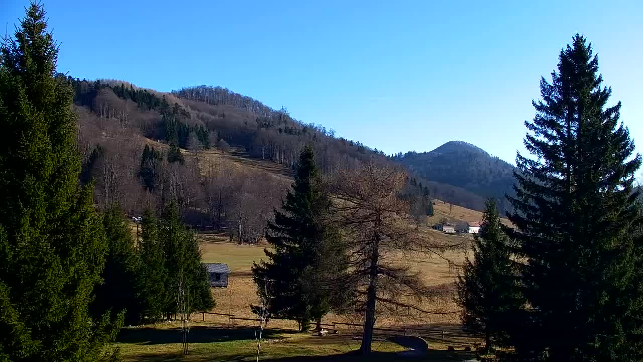 Camera en vivo Lokve – La belleza del bosque de Trnovo