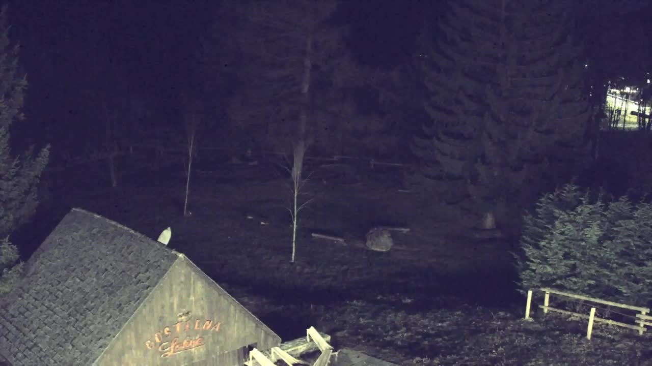 Webcam Lokve – La beauté de la forêt de Trnovo