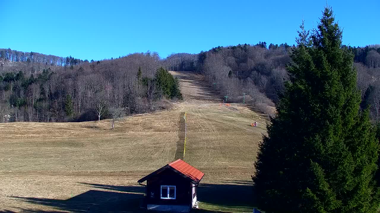 Webcam Loqua / Lokve – La bellezza della selva di Tarnova