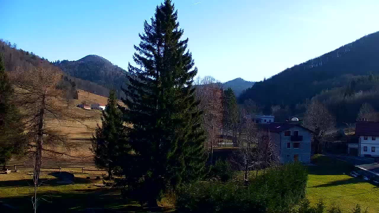 Camera en vivo Lokve – La belleza del bosque de Trnovo