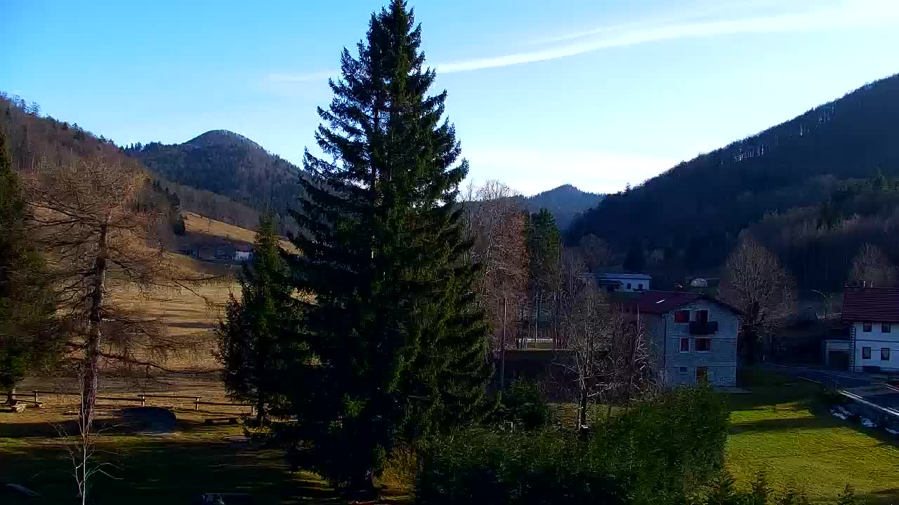 Webcam Lokve – The beauty of the Trnovo forest