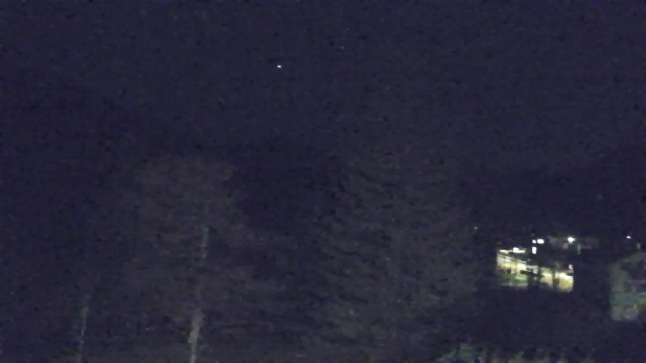 Webcam Lokve – The beauty of the Trnovo forest