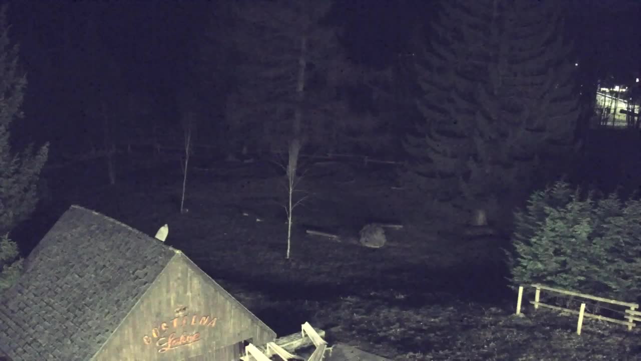 Webcam Lokve – The beauty of the Trnovo forest