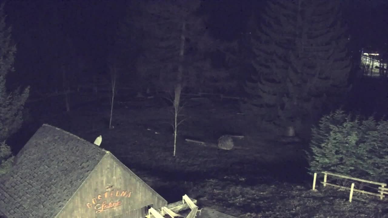 Camera en vivo Lokve – La belleza del bosque de Trnovo