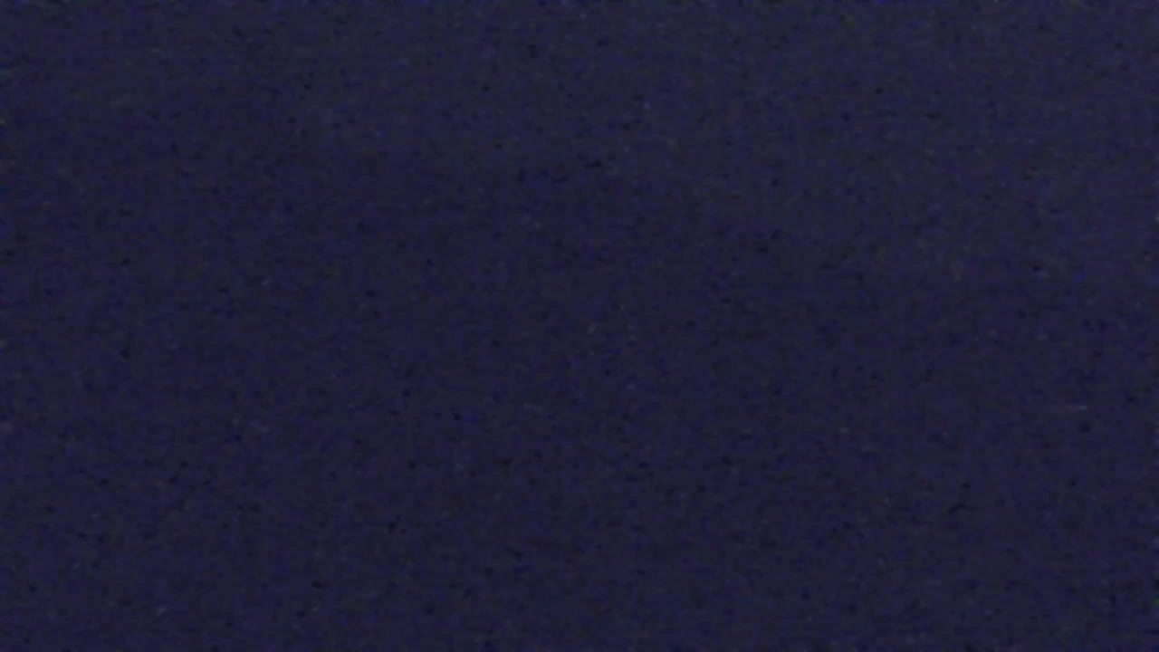 Webcam Lokve – La beauté de la forêt de Trnovo