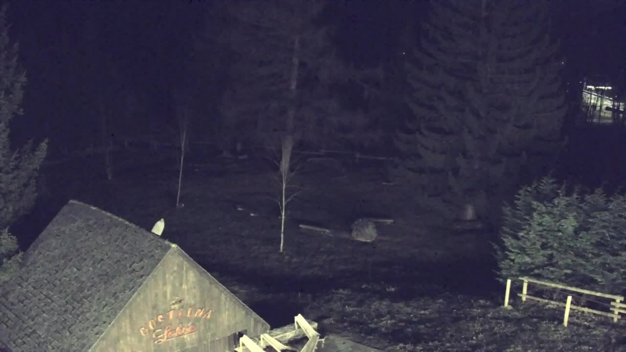 Webcam Lokve – The beauty of the Trnovo forest