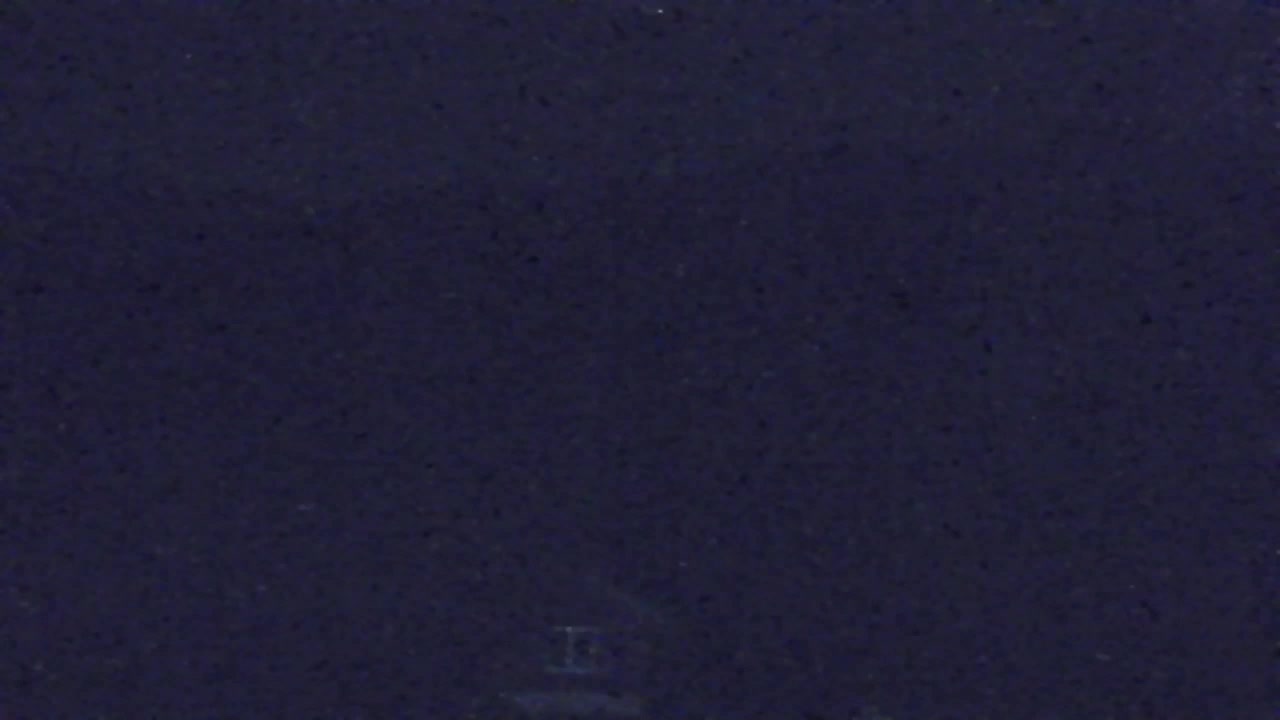 Webcam Loqua / Lokve – La bellezza della selva di Tarnova