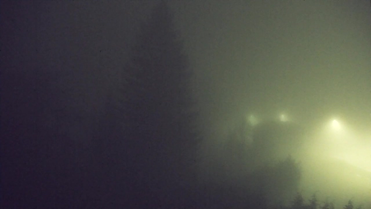 Webcam Loqua / Lokve – La bellezza della selva di Tarnova