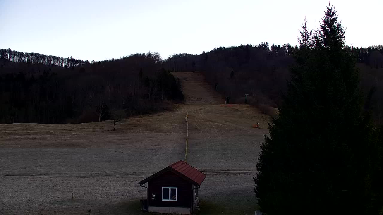 Webcam Loqua / Lokve – La bellezza della selva di Tarnova